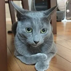 なみえ緒玖