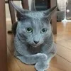 なみえ緒玖