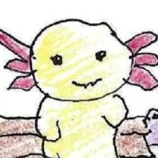 노로