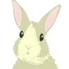 鹿嶋アクタ
