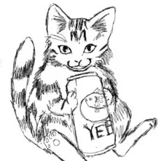 ねこ沢ふたよ