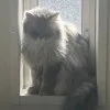 まなみつるこ