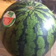 高宮ニカ