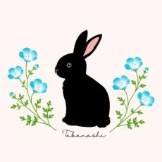 タカナシ