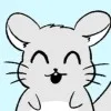 桔梗シロ