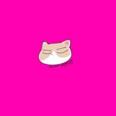 弌沙きゆ