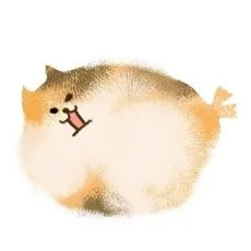 きつねおそば