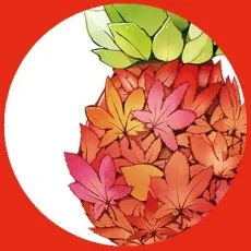 高月紅葉