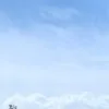 めんたい