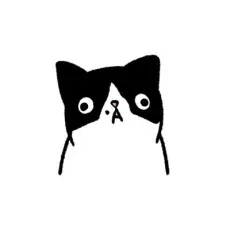 daichi