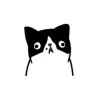 daichi