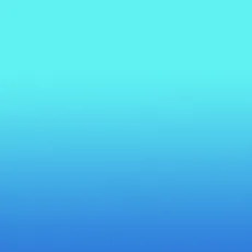 奥瀬サキ