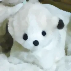 いなだ詩穂
