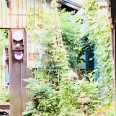 菅野彰