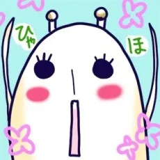 茶匡