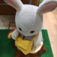 あらきかなお