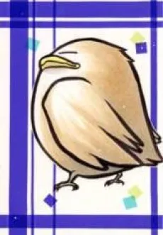柿崎椋