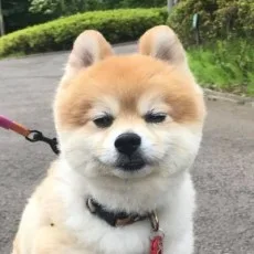 兄崎ゆな