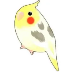 美枝鷲尾