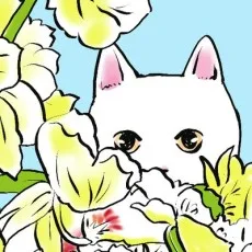 神楽坂はん子